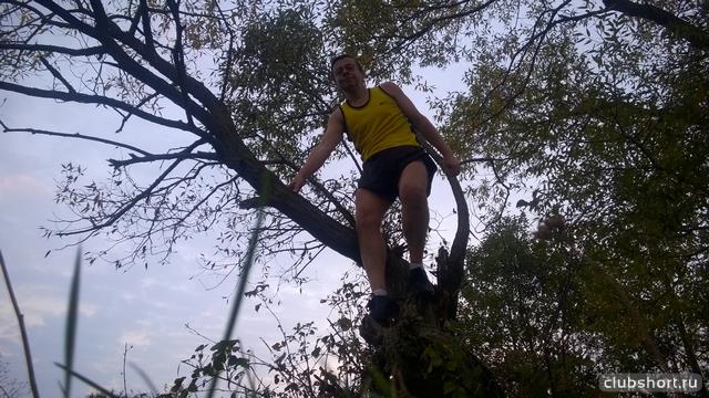 26243_wp_20151006_07_23_09_pro.jpg